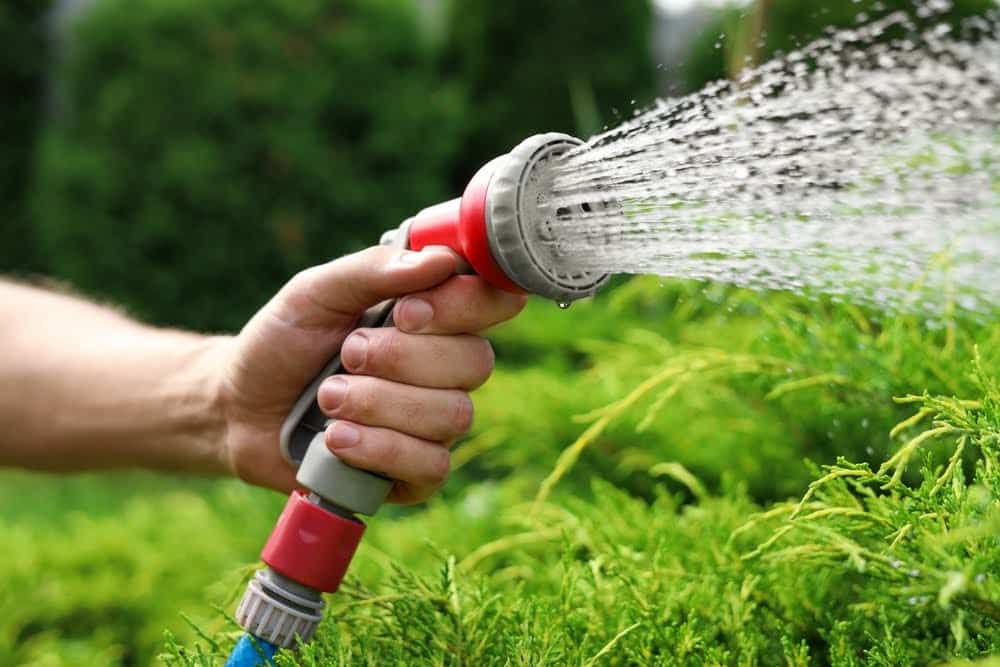 Man spraying water from hose in garden, closeup